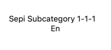 Sepi Subcategory 1-1-1 En