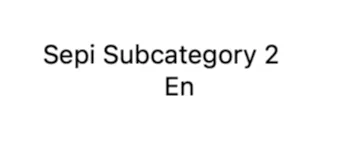 Sepi Subcategory 2 En