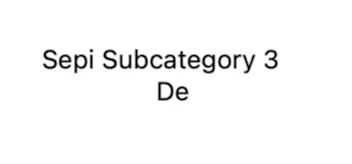 Sepi Subcategory 3 En
